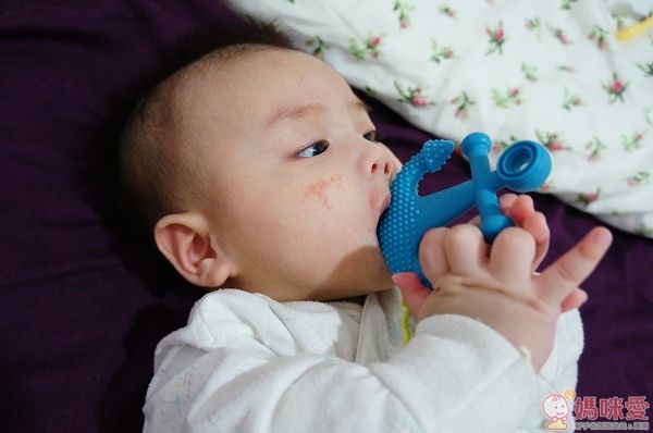 Mayapple Baby 固齒器玩具組