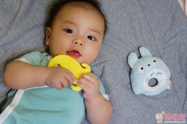 Mayapple Baby 固齒器玩具組
