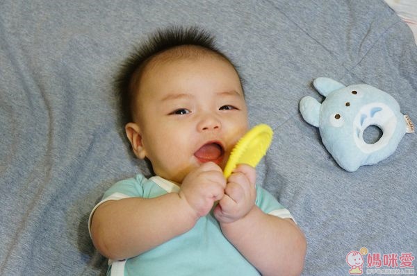 innobaby 水果固齒器