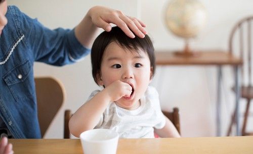 副食品誤很大!|醫師解答副食品大迷思