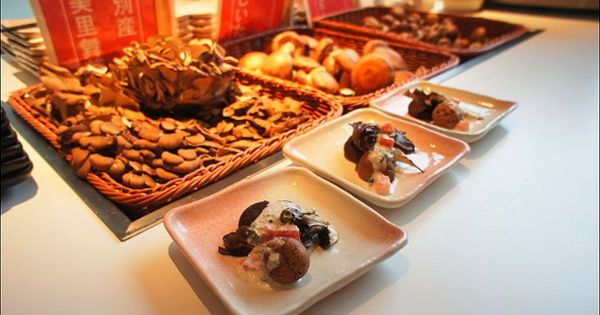 【日本北海道】Day1 Part2:Tomamu 星野渡假村 --> hal buffet 晚餐 --> 安藤忠雄之水教堂