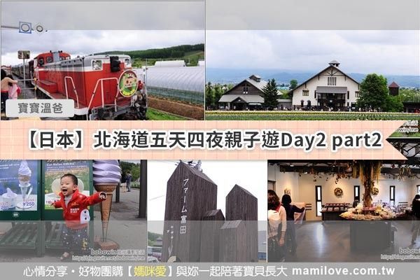 【日本北海道之旅 】Day2 Part2 富良野富田農場