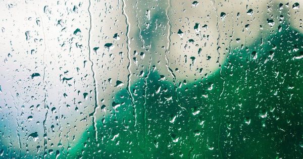 雨下不停的日子,該如何解決家中潮濕的問題?