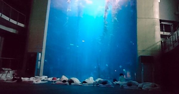 實用!夜宿海生館選擇及行程十大建議劃重點!