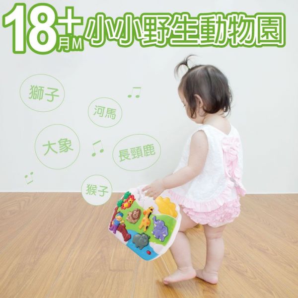 DJ Toys - 小小野生動物園