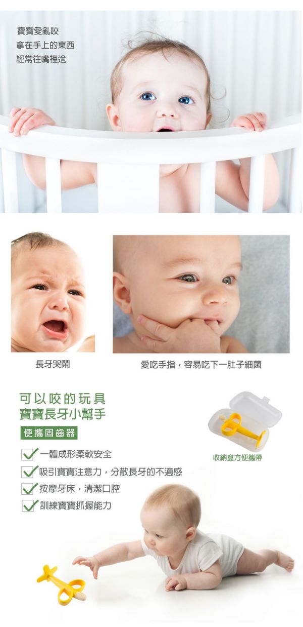 韓國 Perfection - 香蕉固齒器-韓國原裝進口