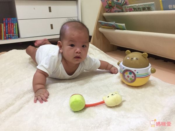 日本 Combi - 搖擺小熊-3個月起