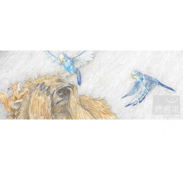 青林國際出版 - 松鼠先生和藍星來的客人