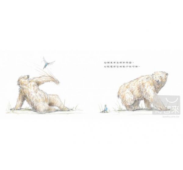 青林國際出版 - 松鼠先生和藍星來的客人