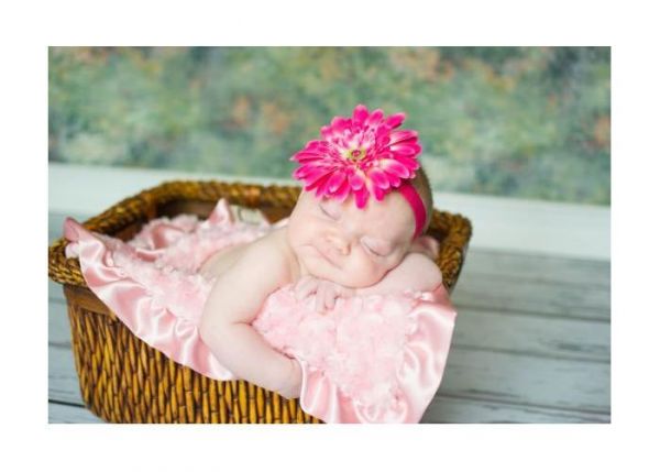 美國 Jamie Rae - 100%純棉髮帶-覆盆子細髮帶+覆盆子雛菊