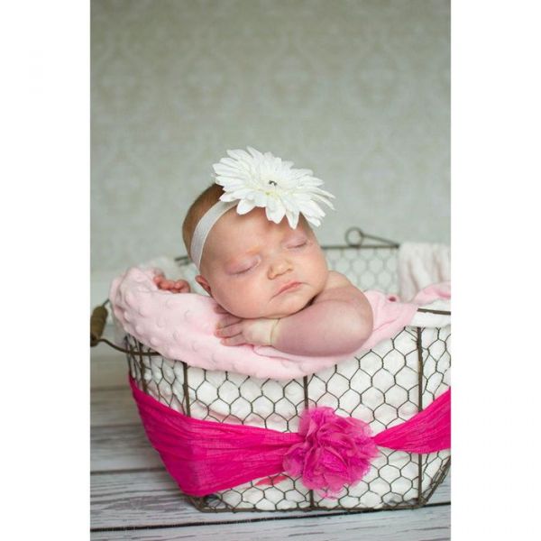 美國 Jamie Rae - 100%純棉髮帶-純白細髮帶+純白雛菊