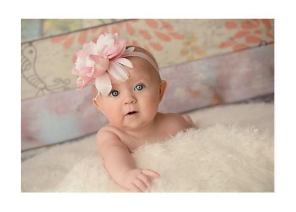 美國 Jamie Rae - 100%純棉髮帶-淡粉細髮帶+清新白粉牡丹 (18M-4Y)