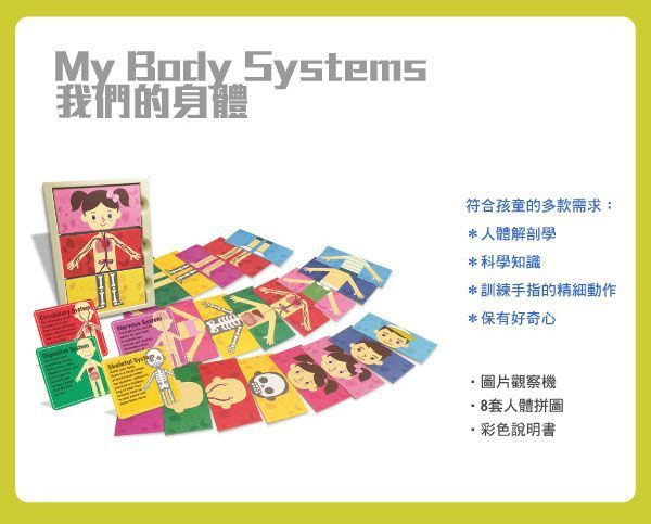 香港4M創意玩具 - 【自然學習組】生命的週期+我們的身體+字母黏土工廠