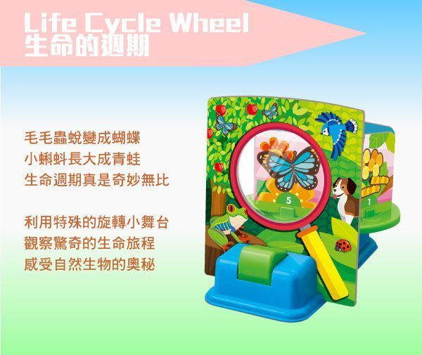 香港4M創意玩具 - 【自然學習組】生命的週期+我們的身體+字母黏土工廠