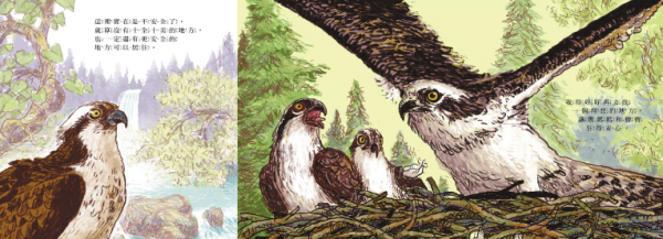 信誼 - 魚鷹搬家