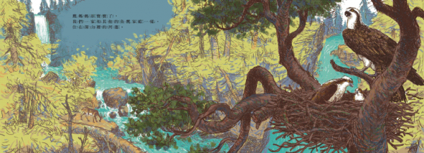 信誼 - 魚鷹搬家