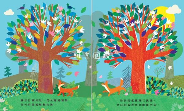 樹──春夏秋冬，季節流轉-精裝