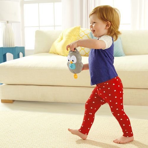 美國Fisher-Price 費雪 - 森林朋友三合一音樂吊鈴