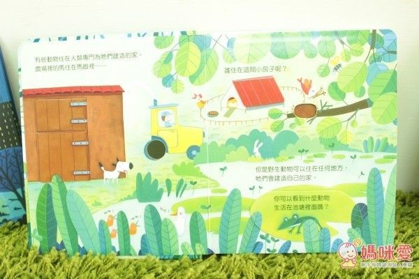 偷偷看一下－動物的家-精裝