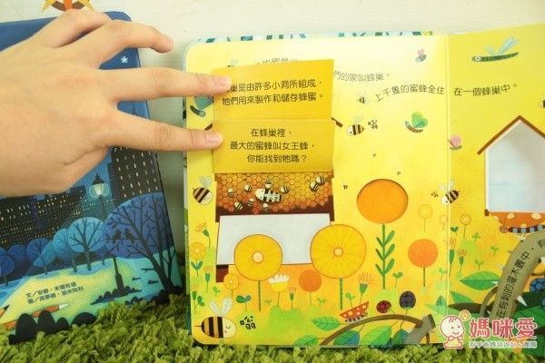 偷偷看一下－動物的家-精裝