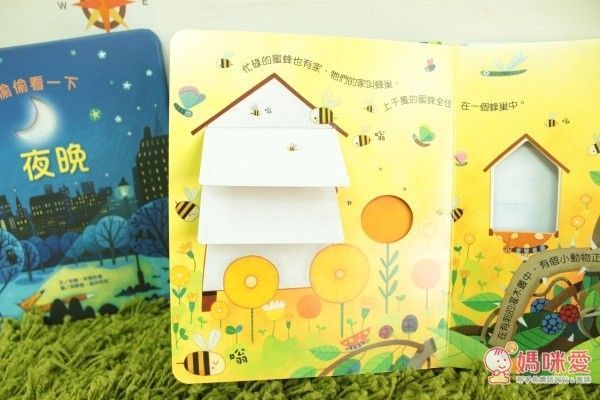 偷偷看一下－動物的家-精裝