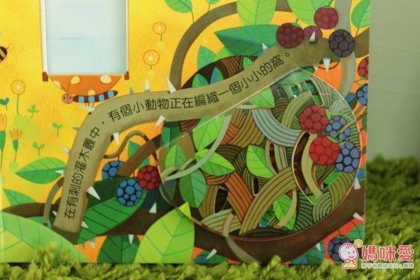 偷偷看一下－動物的家-精裝