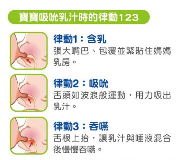 nac nac 吸吮力學標準輕量耐熱玻璃奶瓶