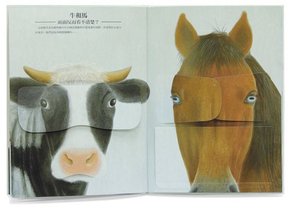 動物眼中的世界