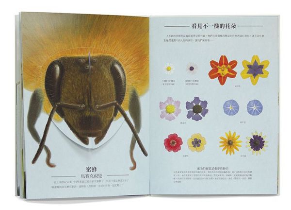 動物眼中的世界