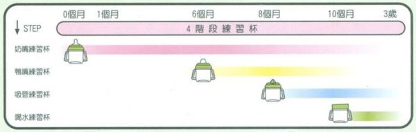 DOOBY 大眼蛙 - 喝水練習杯-綠色-280mL-10個月以上