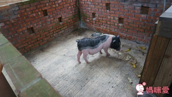 東森山林渡假酒店