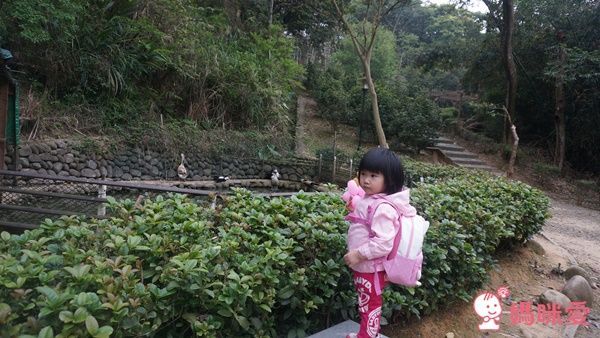 東森山林渡假酒店