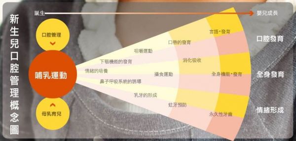 日本 Combi - 母乳力學 PES 奶瓶2入實用組-黃色-270mLx2