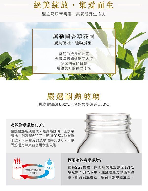 Simba 小獅王辛巴 - 蘿蔓晶鑽寬口葫蘆玻璃大奶瓶-奧勒岡香草花園-附寬口十字奶嘴-270ml/支