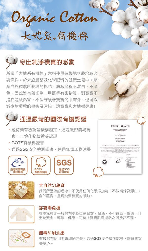 Simba 小獅王辛巴 - 有機棉兒童枕 (約31x48cm)