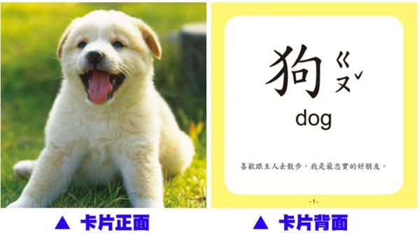 幼福文化 - Baby's 100張全方位圖卡-【2本合購】動物王國＋日常生活