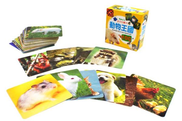 幼福文化 - Baby's 100張全方位圖卡-【2本合購】動物王國＋日常生活