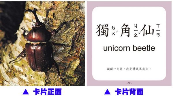 幼福文化 - Baby's 100張全方位圖卡-【2本合購】動物王國＋日常生活