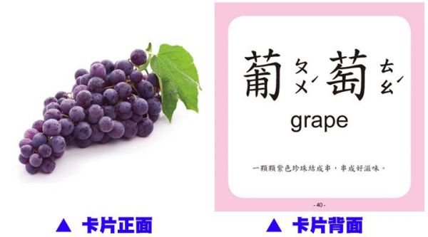 幼福文化 - Baby's 100張全方位圖卡-【2本合購】動物王國＋日常生活