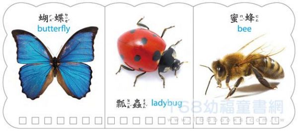 幼福文化 - 樂翻學習認知卡《動物王國》