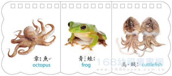 幼福文化 - 樂翻學習認知卡《動物王國》