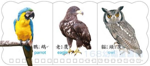 幼福文化 - 樂翻學習認知卡《動物王國》