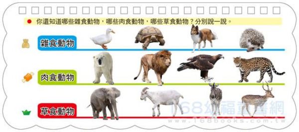 幼福文化 - 樂翻學習認知卡《動物王國》