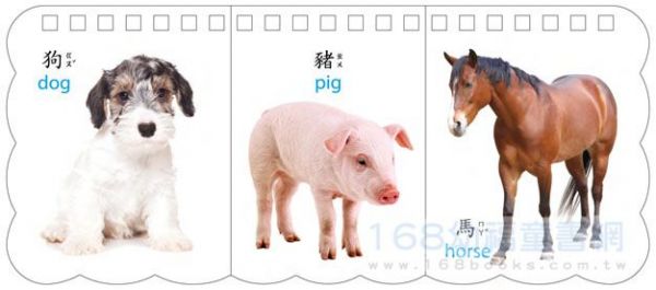 幼福文化 - 樂翻學習認知卡《動物王國》