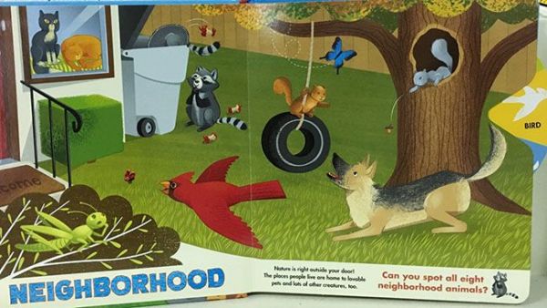 Kidschool - Amazing Animals: A Spin & Spot Book 動物轉盤找找書