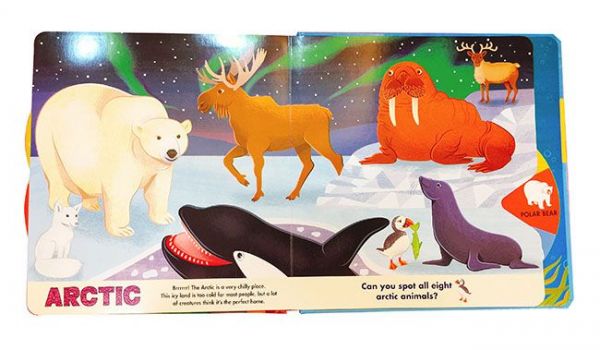 Kidschool - Amazing Animals: A Spin & Spot Book 動物轉盤找找書