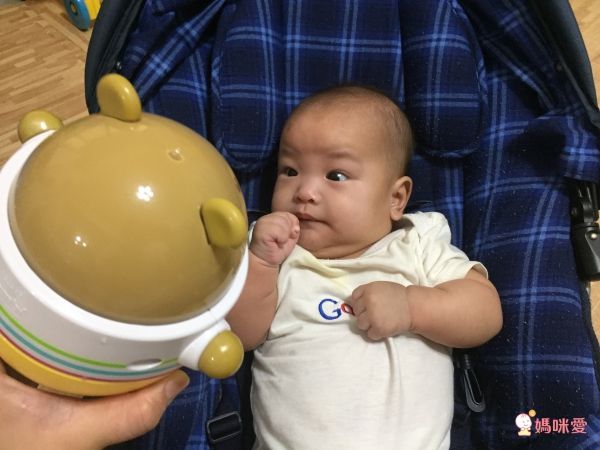 日本 Combi - 搖擺小熊-3個月起