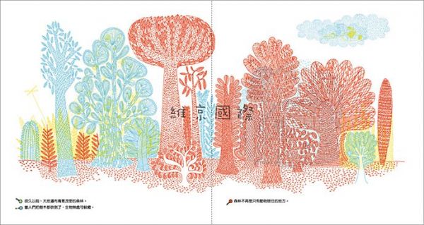 魔法森林的祕密(附三色特殊濾鏡)-精裝