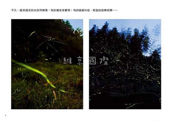 水中的光亮──螢火蟲生態繪本-精裝