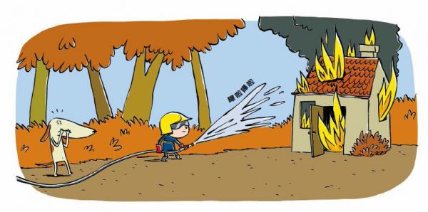 格林文化 - 【車車控最愛的角色扮演之書】消防員你好！+小海盜大尋寶